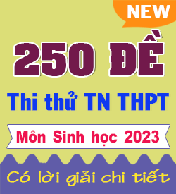 Đề thi thử THPTQG Sinh học 2023